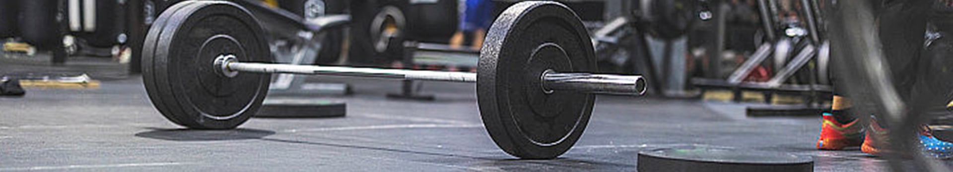 bumper plate-0