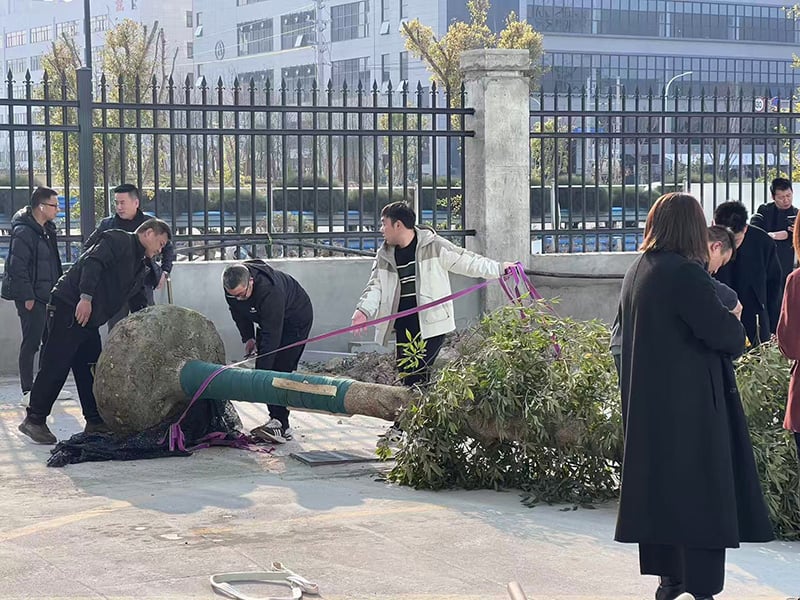 Planting greenery together for a long-lasting Foundation: The Chairman and the heads of each business division plant the 
