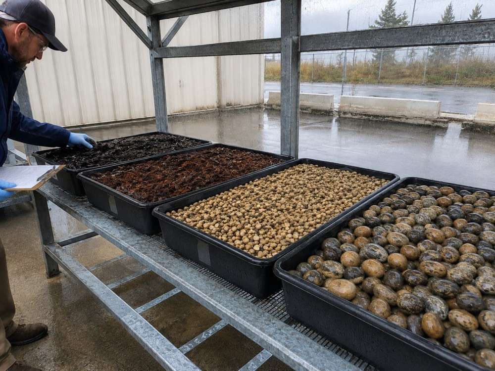 https://shopcdnalpha.grainajz.com/category/393770/4345/6cec3e0ed017892baf35415baf64a1c1/3.jpg