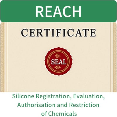 Silicone_REACH_EN