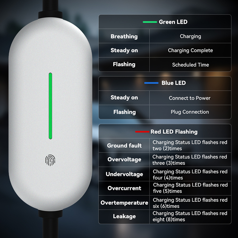 C2 PRO lamp board-3.jpg