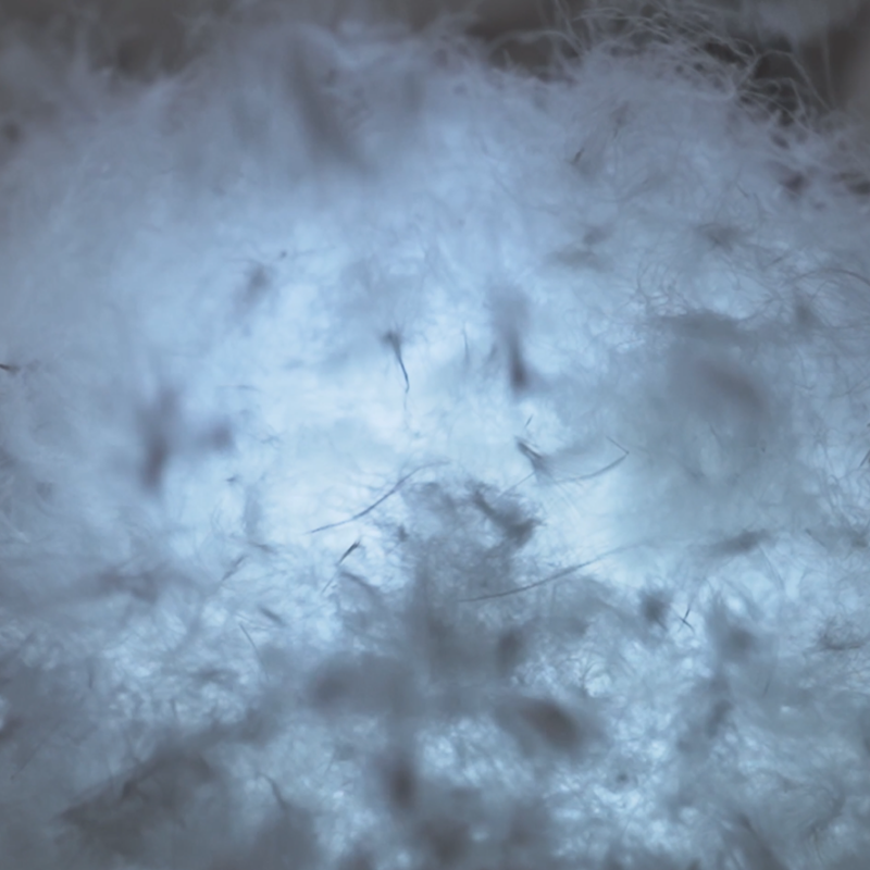 High-loft natural goose down fill cluster for premium commercial hotel duvets and pillows.png