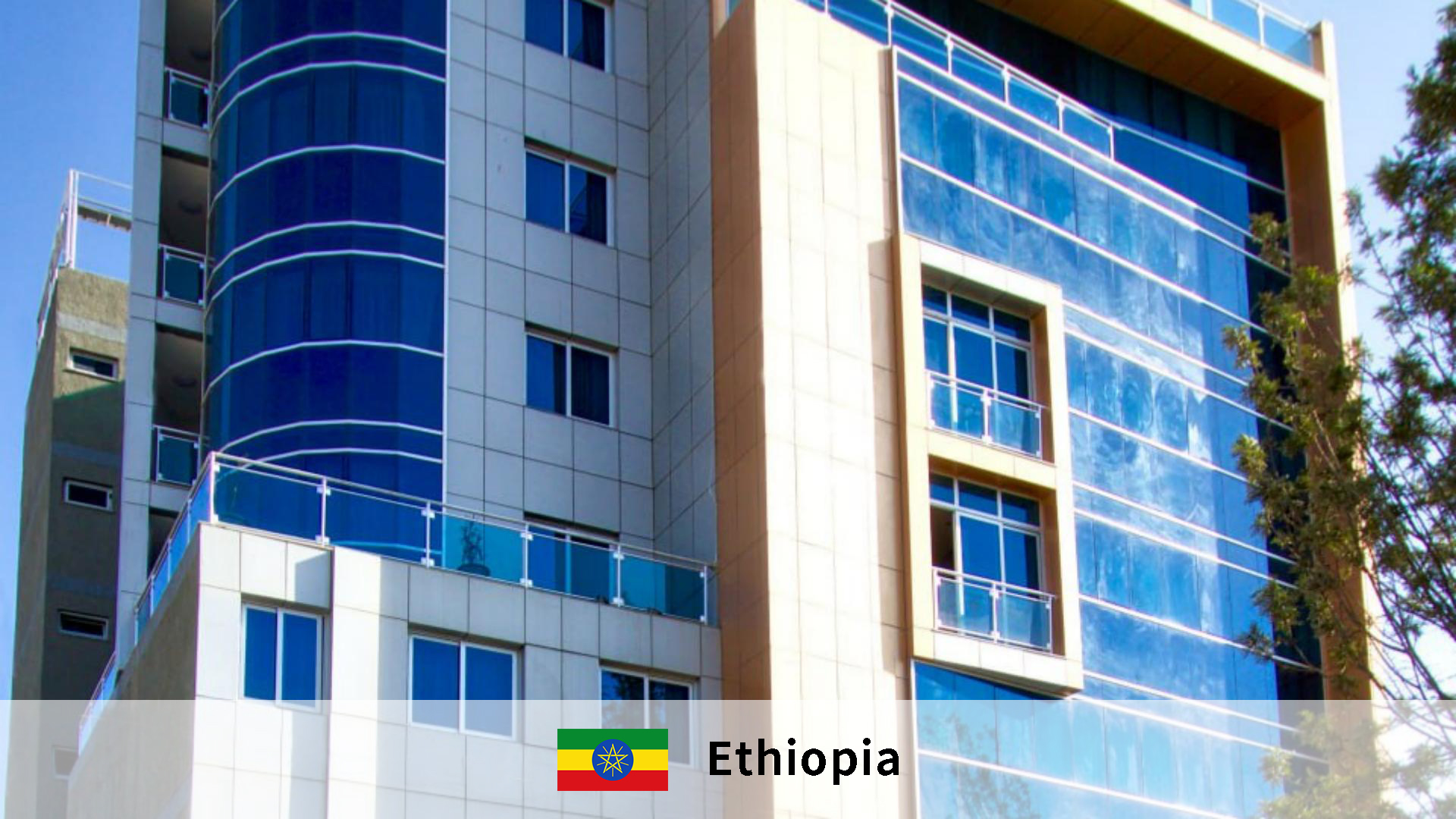 Foundational Partnership: Outfitting Zemarias International Hotel for Long-Term Success