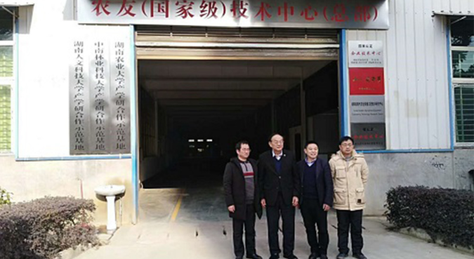 image.png (42).png