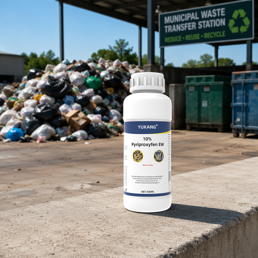Sustainable Practices and Environmental Responsibility