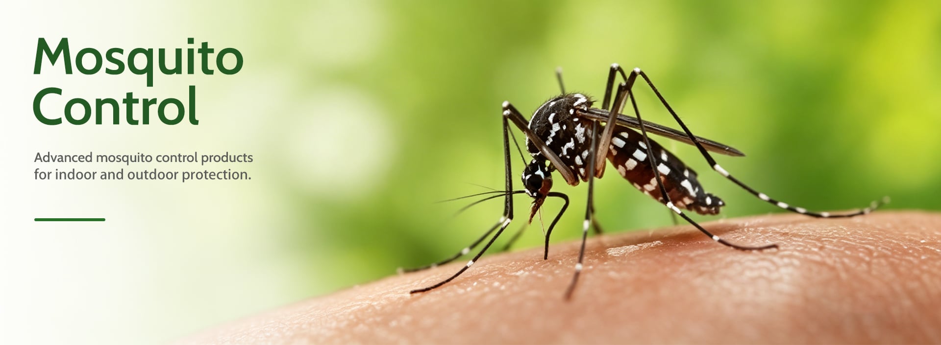 Mosquito Control