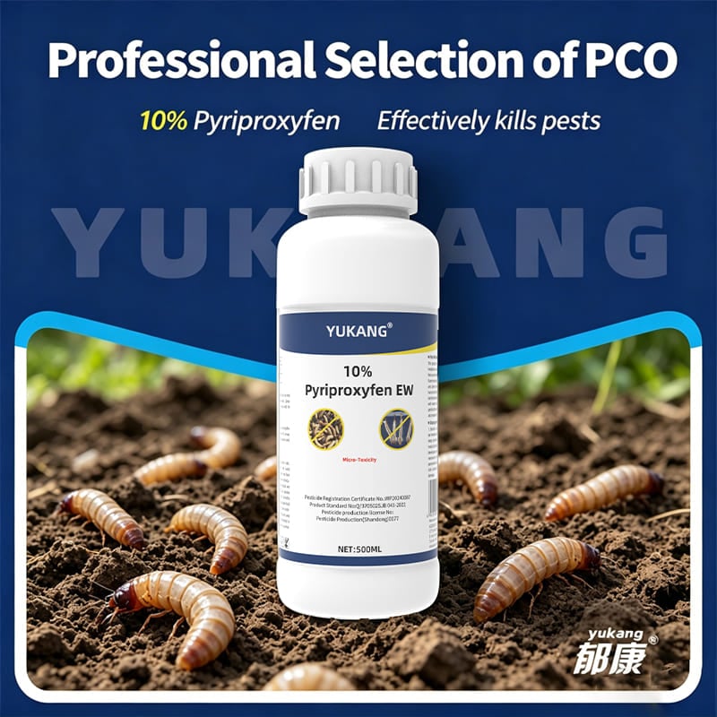 Browse all products