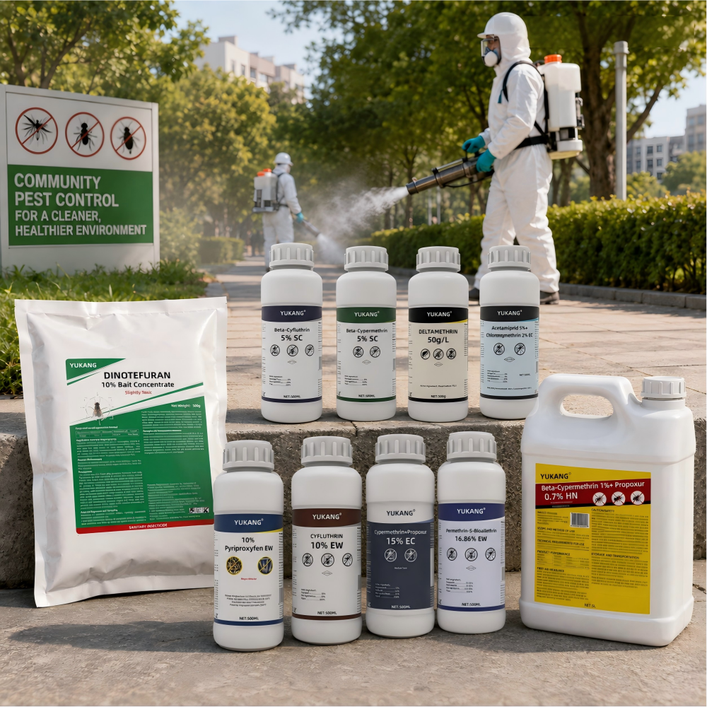 Comprehensive Rat Infestation Solutions for Every Environment