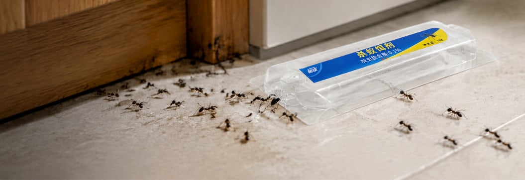 LIQUID ANT BAIT