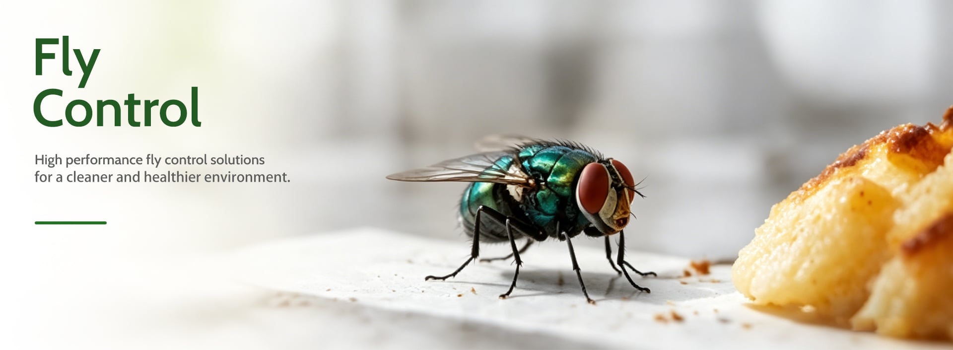 Fly Control