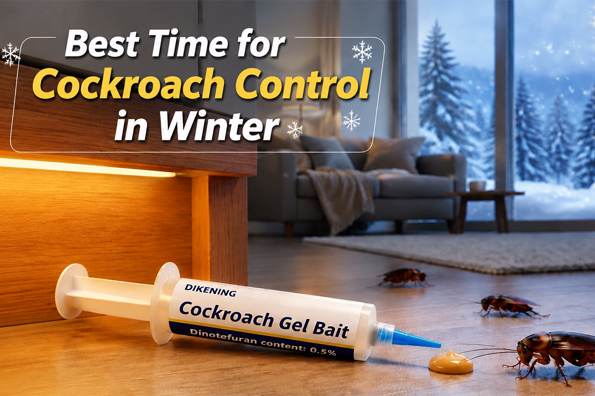 Where Do Cockroaches Hide in Winter?