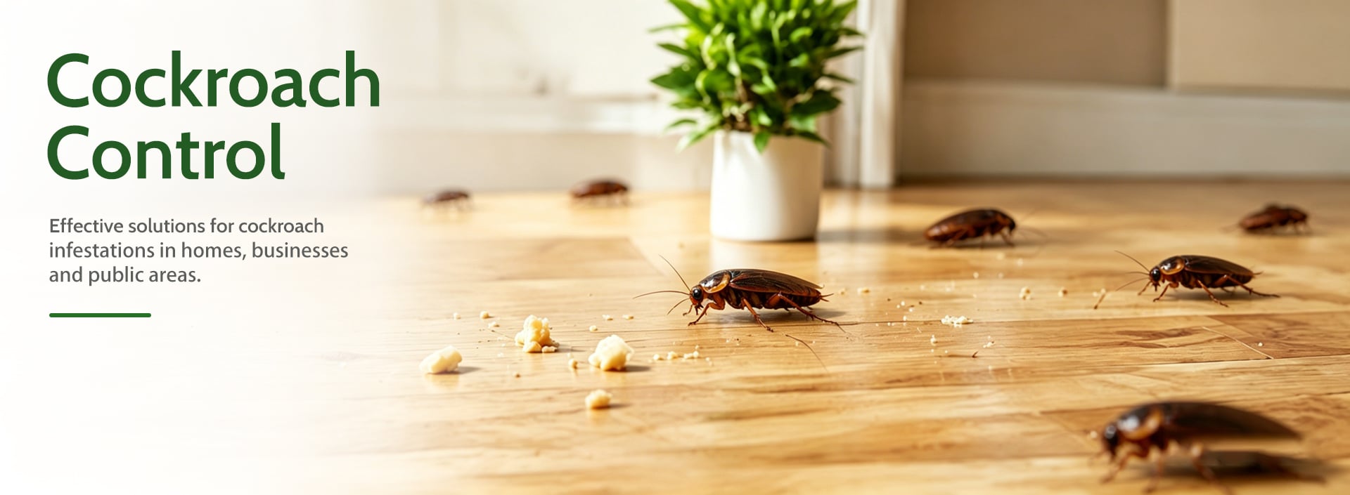 Cockroach Control