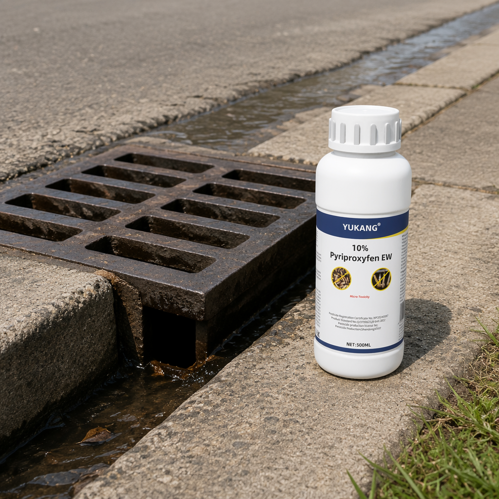 Commitment to Environmental Sustainability