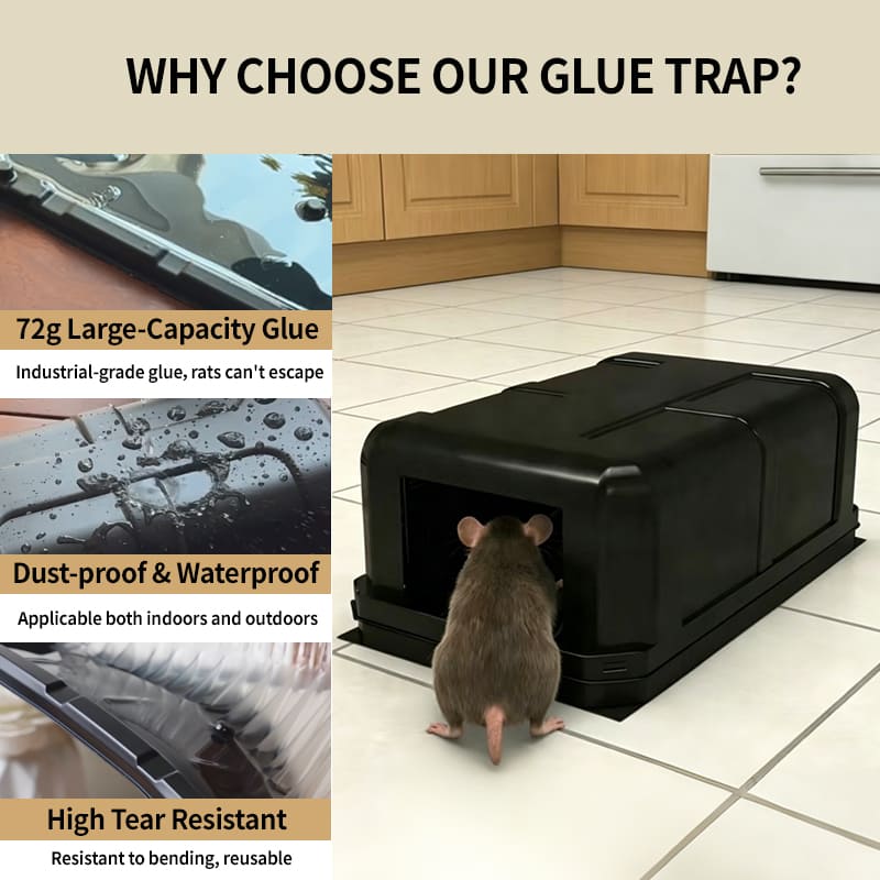 Heavy Plastic Rat Glue Trap 72g glue
