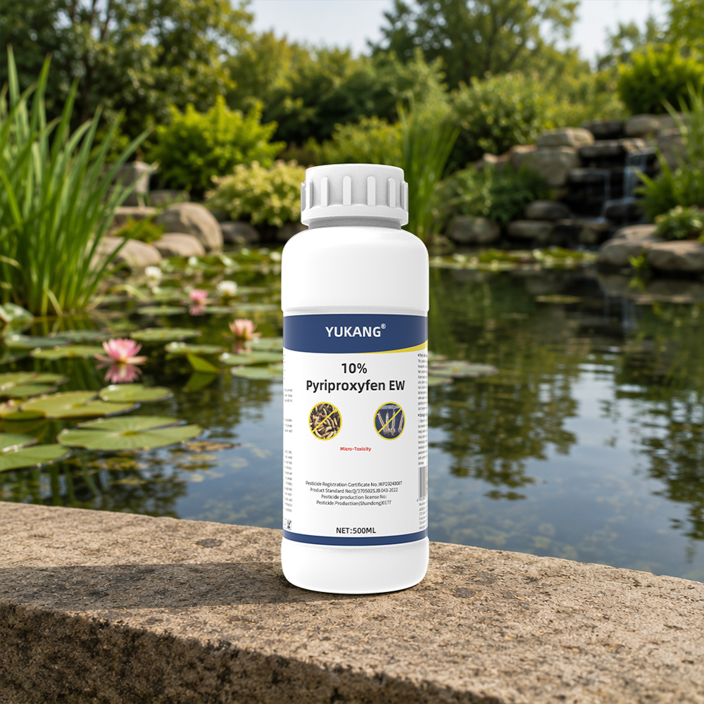 Innovative Formulations for Maximum Efficacy