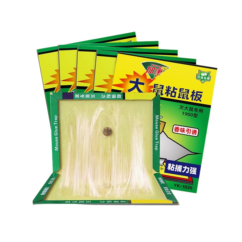 Enlarged Rat Glue Trap 40g glue