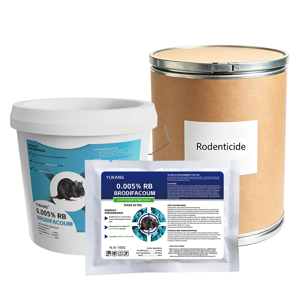 Effective Rat Pest Control Solutions for Commercial Spaces