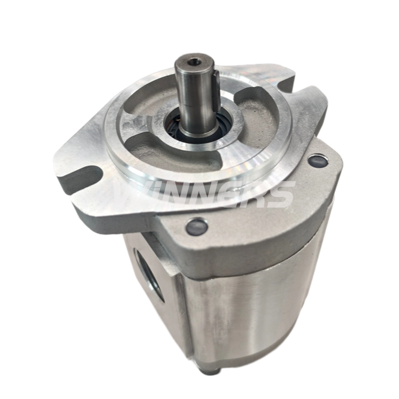 Industrial Gear Pump 2GG1P06R 2GG1P07R 2GG1P16R Chinese Oil Pump Hydraulics Pumps 2GG1P09R High Efficiency and Low Noise