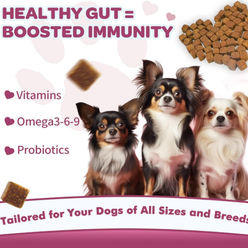 Dog Wellness Nutrition Probiotics Supplements Gut Health Pet Care with Vitamins Digestive Support for Dogs
