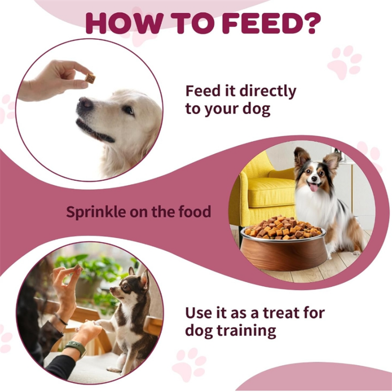 Dog Wellness Nutrition Probiotics Supplements Gut Health Pet Care with Vitamins Digestive Support for Dogs
