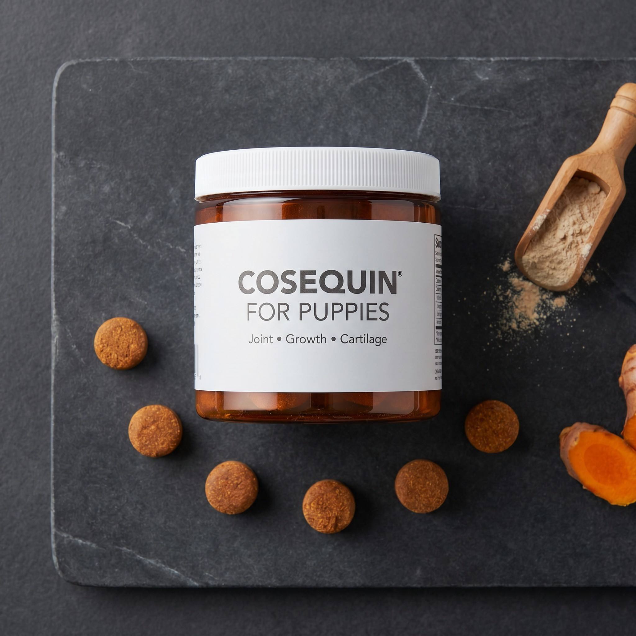 What Do Vets Say About Cosequin for Puppies?