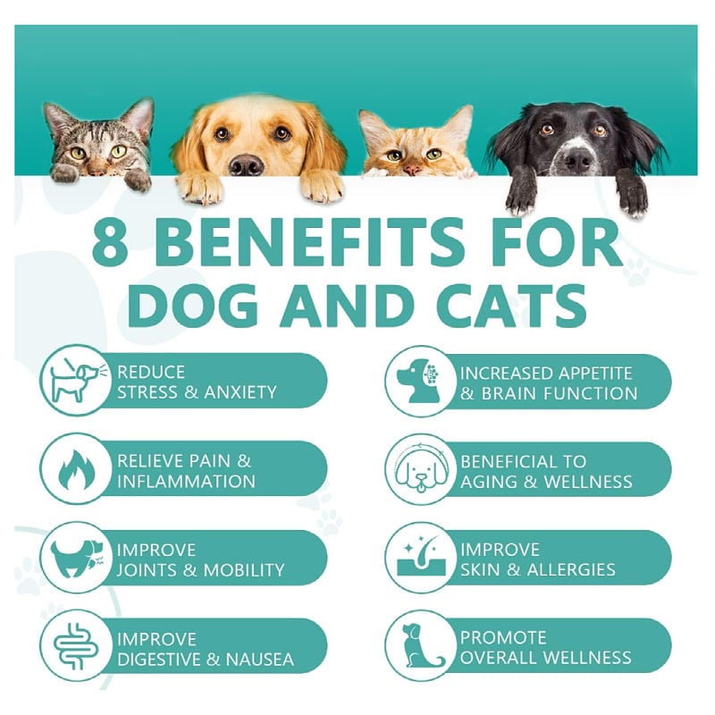 Custom Dogs Drops Relief Stress Drops Pet Nutritional Supplements Anxiety Relief Pet Treat Calming Supplement Dogs Calming Treat