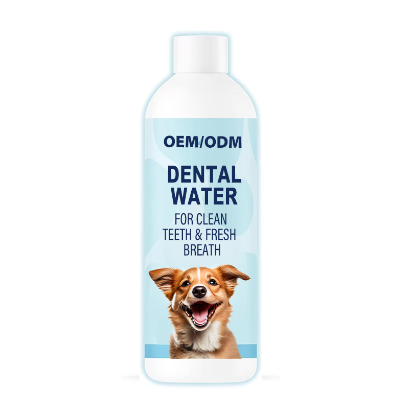 What Ingredients Should You Look for in Dog Dental Supplements?
