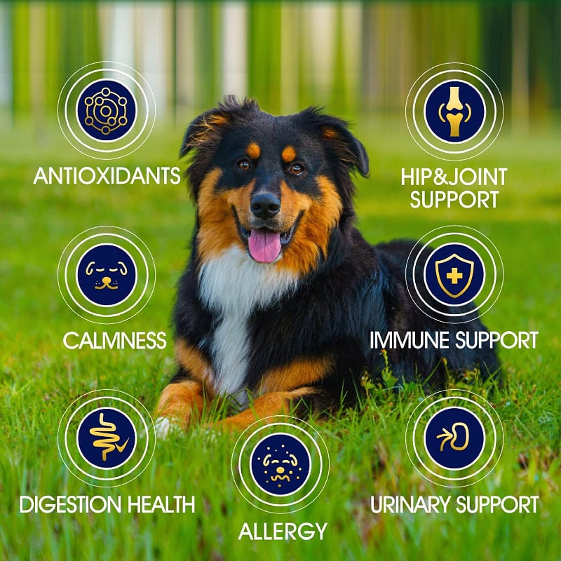 Custom Dogs Drops Relief Stress Drops Pet Nutritional Supplements Anxiety Relief Pet Treat Calming Supplement Dogs Calming Treat