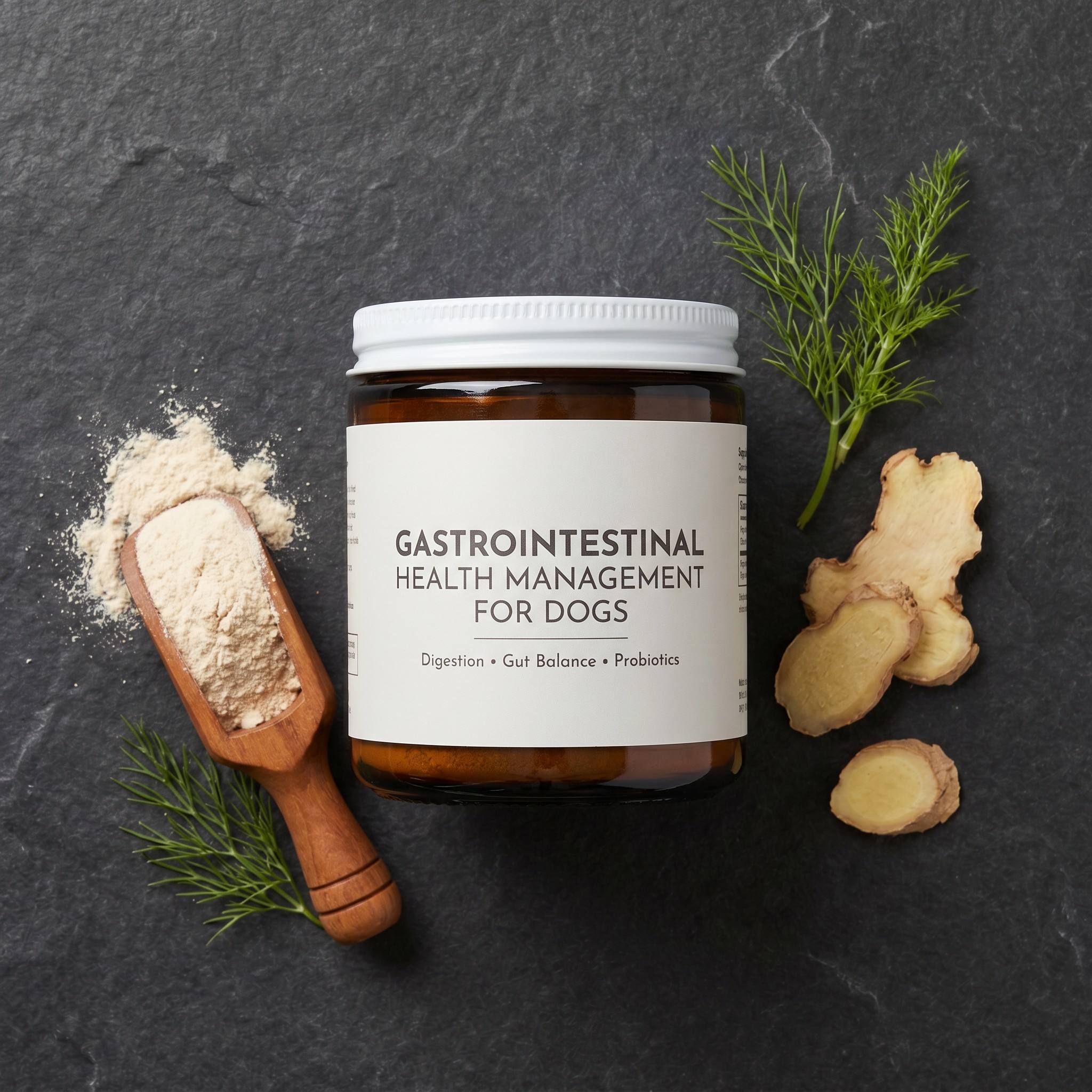 Where to Buy Wholesale Dog Vitamins and Supplements at Competitive Prices