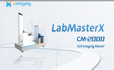 Master of Cell Imaging Experiments  English Video