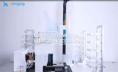 Robot English Video