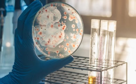 Microbiology