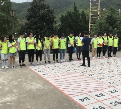 2019 Our team is studing and training 