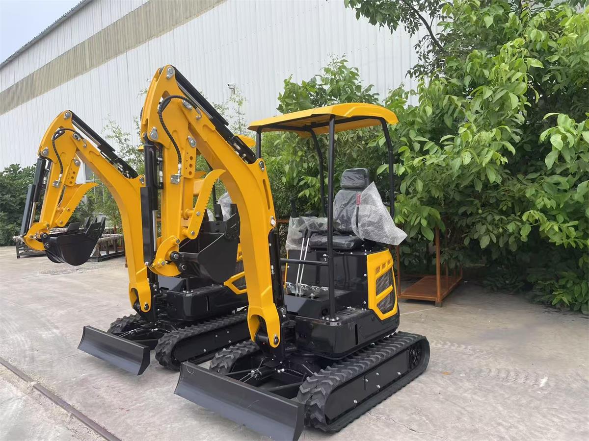 On August 1st, a French customer placed an order for an excavator.