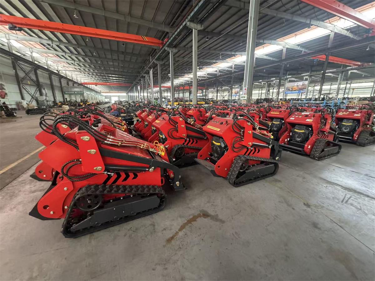 skid steer loader-1.jpg
