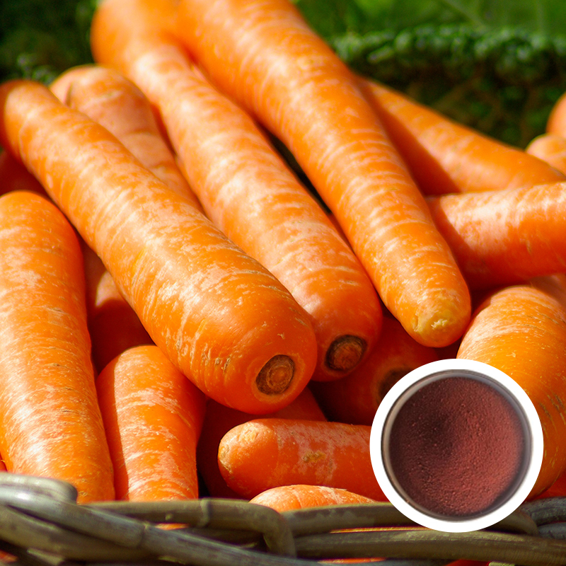 β-Carotene Microparticles 10%