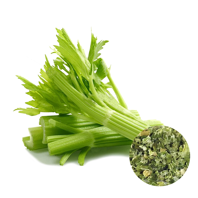 Dried Celery Stalk