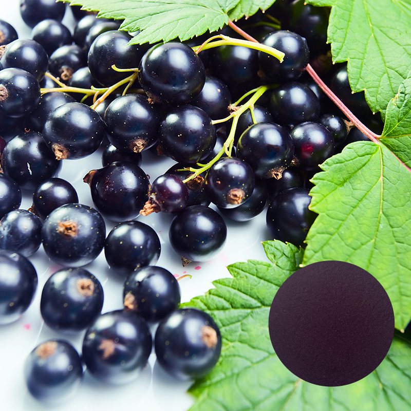 Aronia Berry Powder