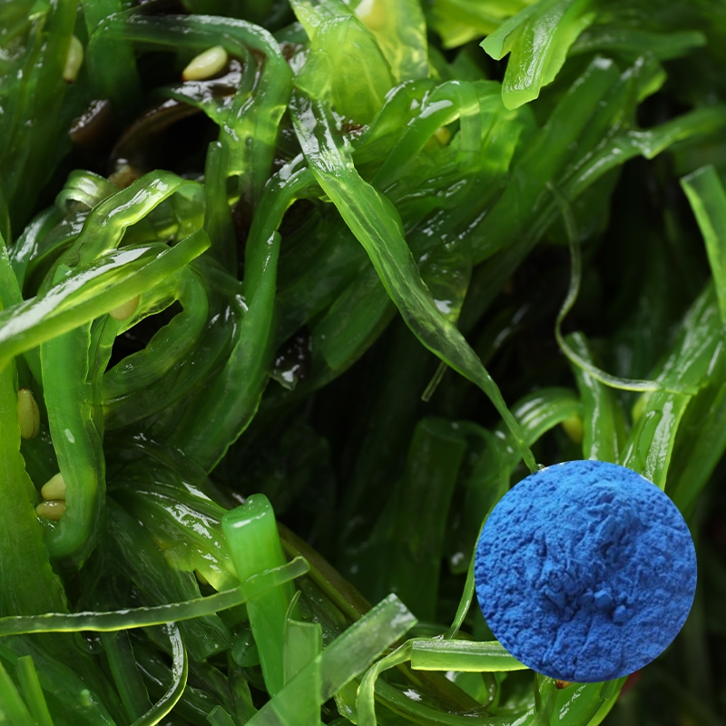 Spirulina Extract Phycocyanin E10
