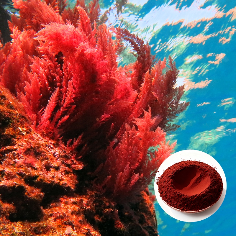 Natural Astaxanthin Powder/Oil 2.5%