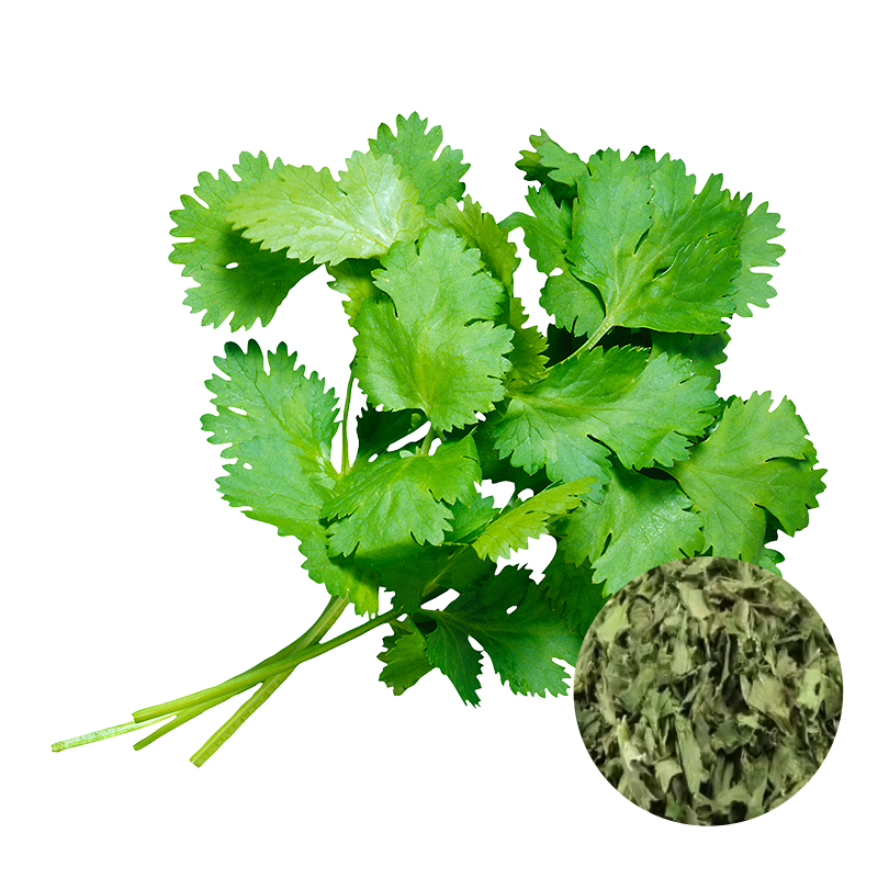 Dried Celery leaves