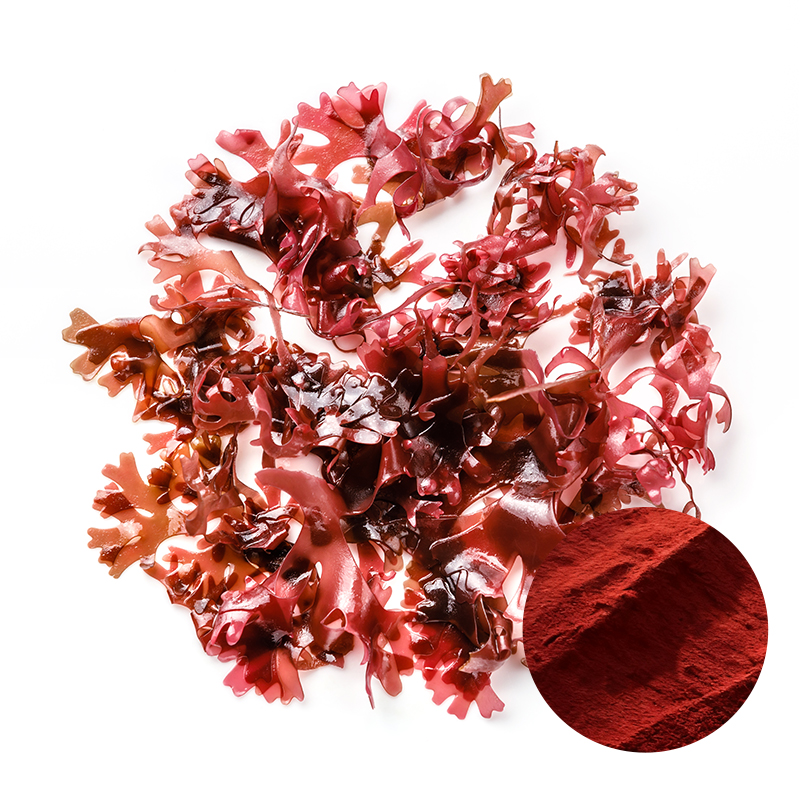 Natural Astaxanthin Powder/Oil 2%