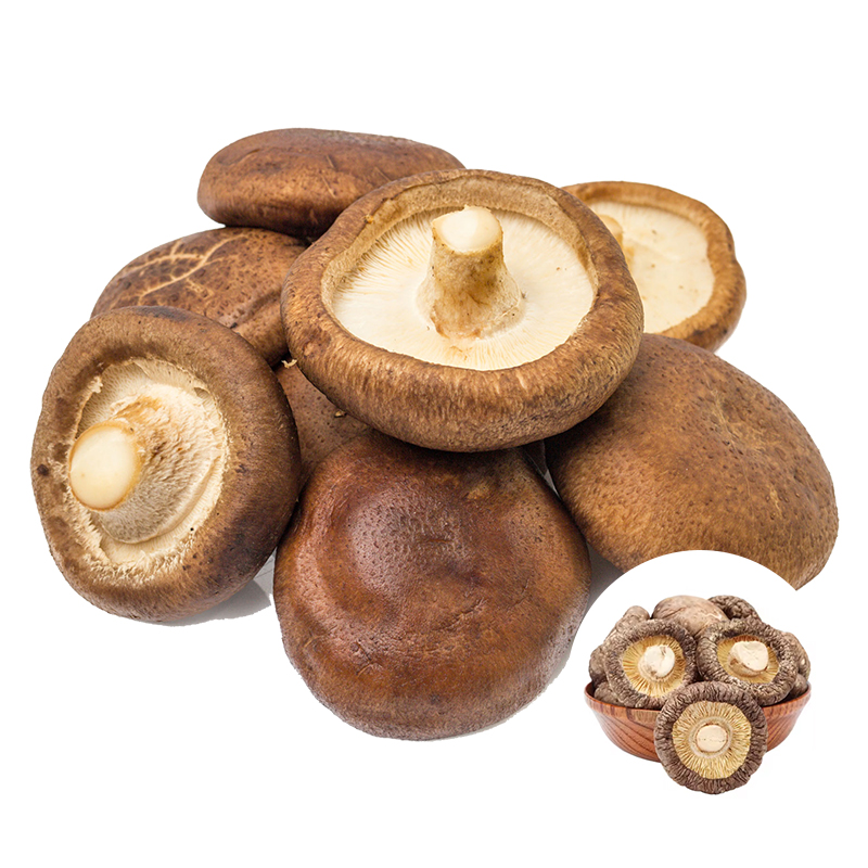 Dried Shiitake Mushroom