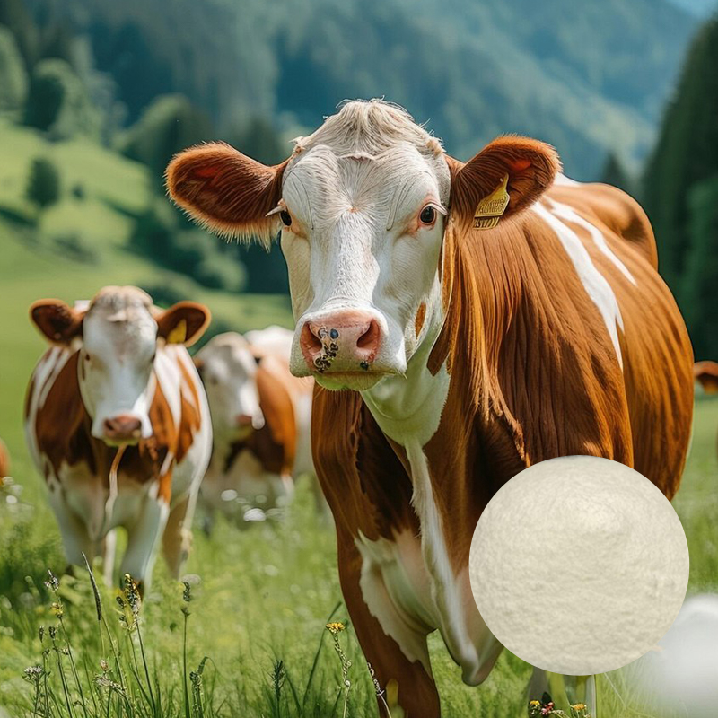 Bovine Collagen
