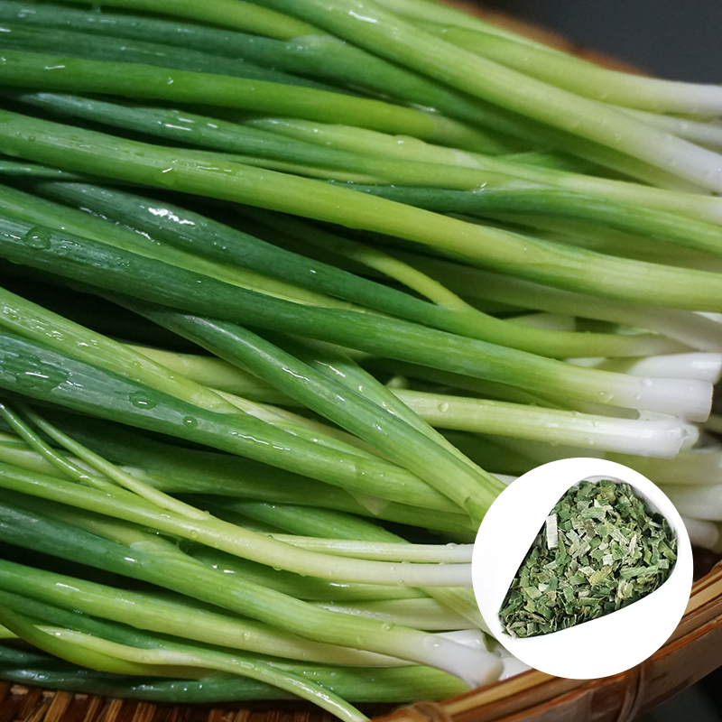 Dried Chive
