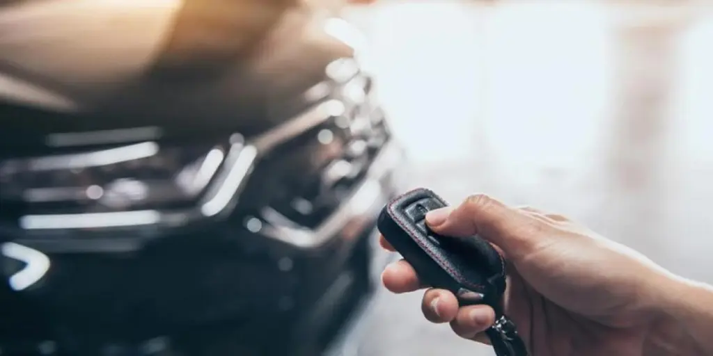 El teu expert en immobilitzadors