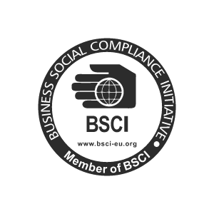 BSCI Social Responsibility Audit