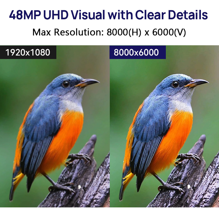 48MP_imx586_02.jpg
