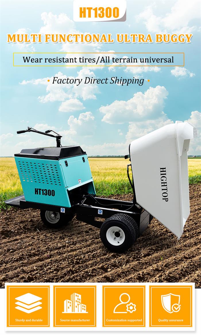 Mini Dump Truck