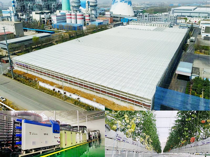 Semi-Closed Intelligent Greenhouse in Xinxiang, Henan